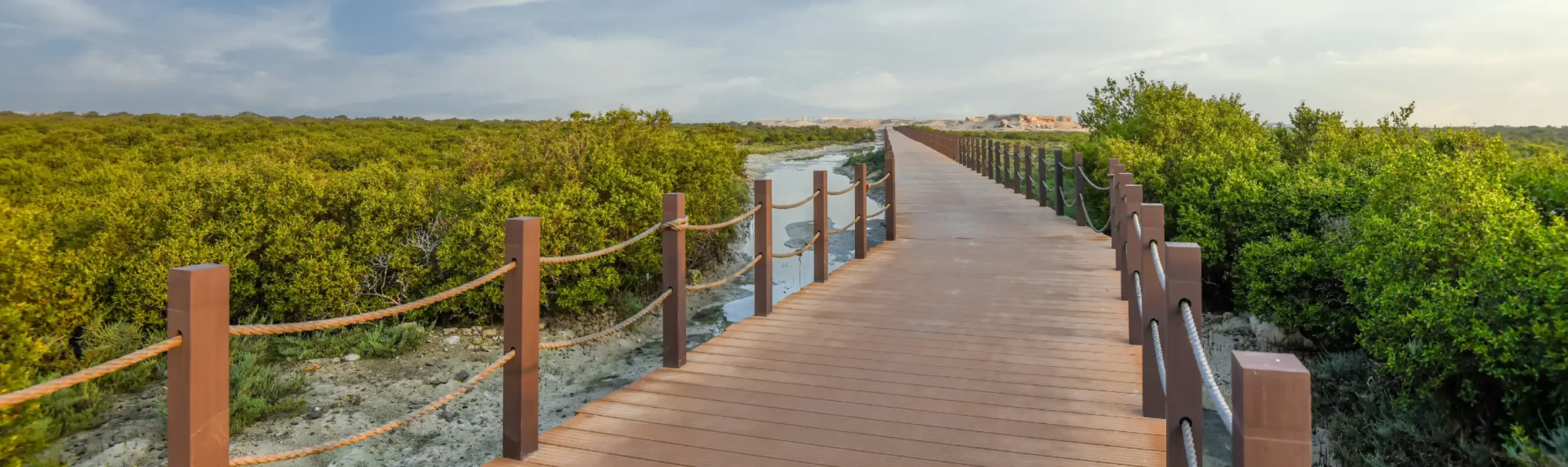 Trips And Visit Banner